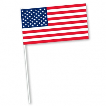 Handvlaggetjes - Amerika (50st)